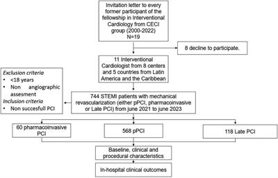 Trends in primary percutaneous coronary intervention for the treatment of acute coronary ST-elevation myocardial infarction in Latin American countries: insights from the CECI consortium